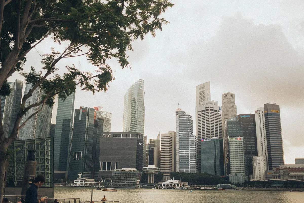 Modern skyscrapers rising along the waterfront, with a large tree in the foreground and small boats on the water.